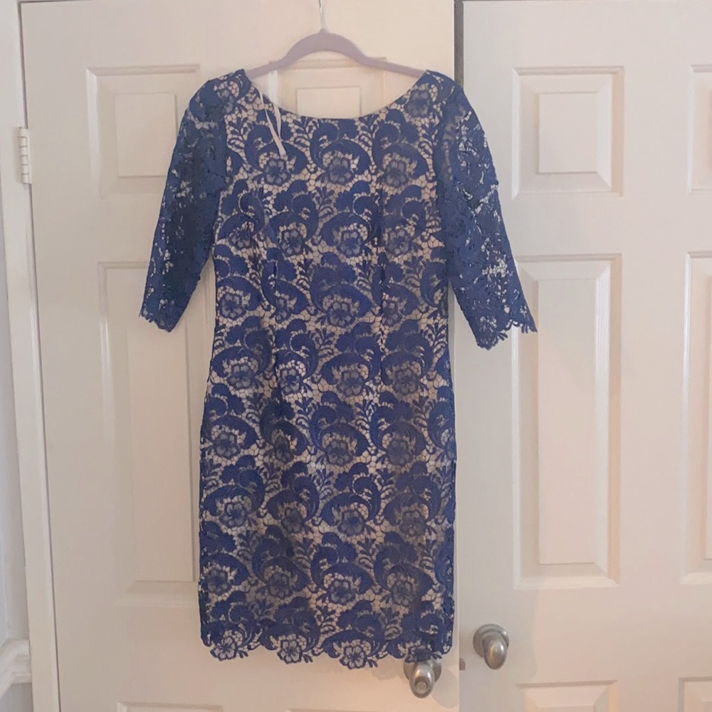 Eliza J Lace Dress. Champagne lining Blue Lace